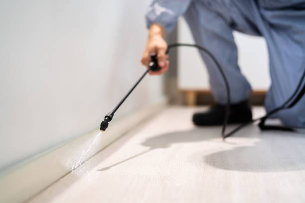 Bed Bug Pre-Treatment Preparation Assessment in Roxborough Park