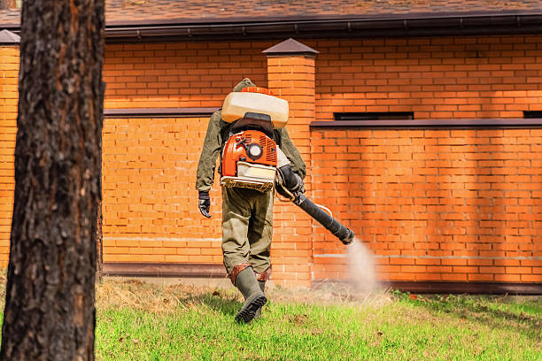 Bed Bug Clearance Verification and Documentation in Roxborough Park